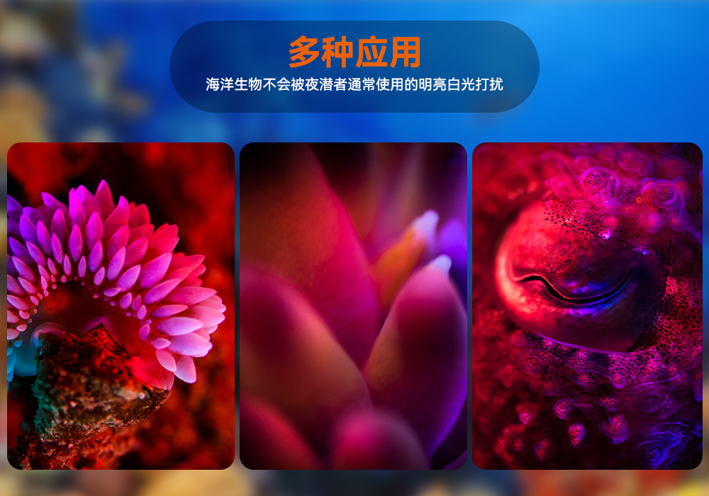 D530 紅色潛水手電 潛水攝影照明_潛水照明_水下(xià)攝影照明_潛水攝影補(bǔ)光燈_ 91视频成人版OrcaTorch