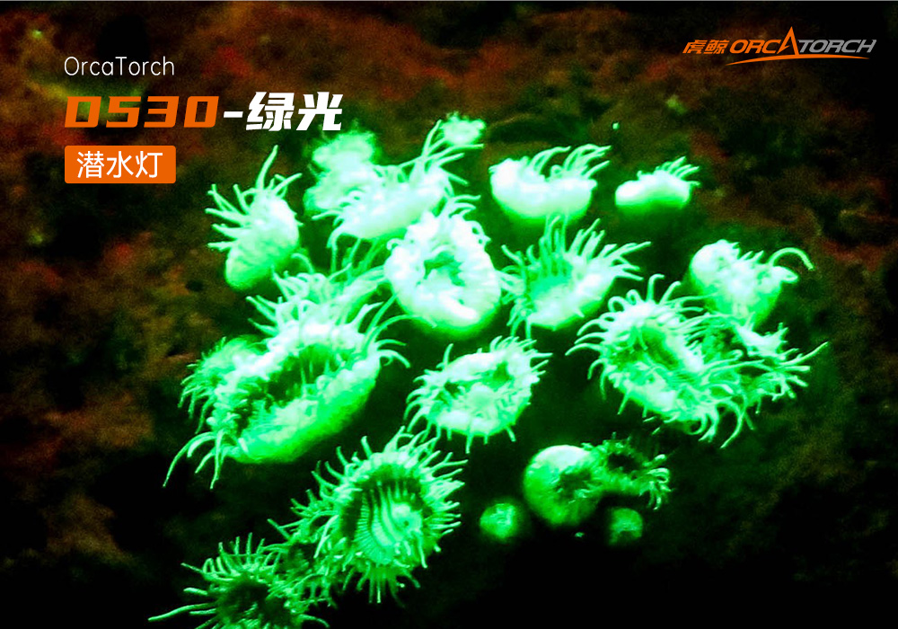 D530 綠色潛水手電 潛水(shuǐ)攝影照明_潛水照明_水下攝影照(zhào)明(míng)_潛水(shuǐ)攝影補(bǔ)光(guāng)燈_ 91视频成人版OrcaTorch