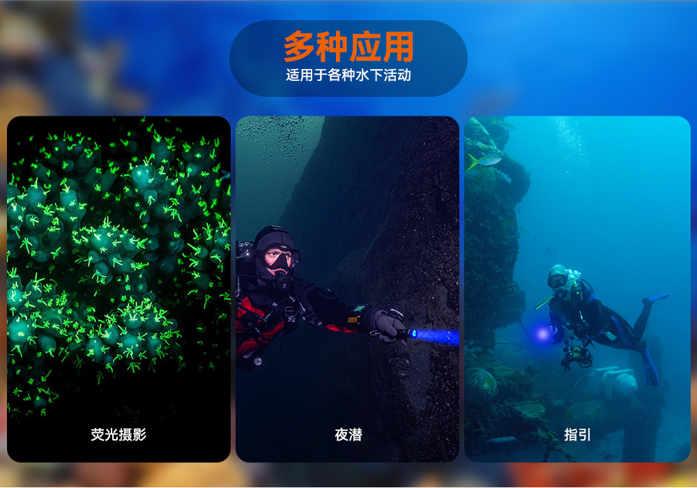 D530藍光手電筒(tǒng) 潛(qián)水攝影照明_潛(qián)水照明_水下攝影照明(míng)_潛水攝影補光燈_ 91视频成人版OrcaTorch
